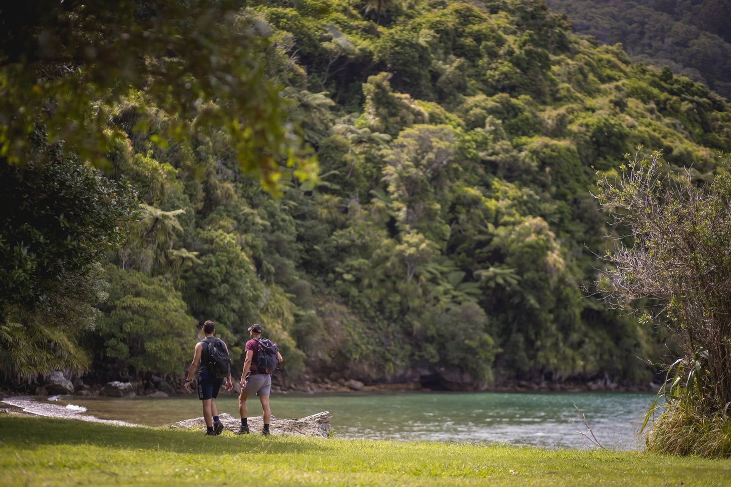 Nature Walk and Hiking - Non-Refundable Deposit - MVP Journeys ®