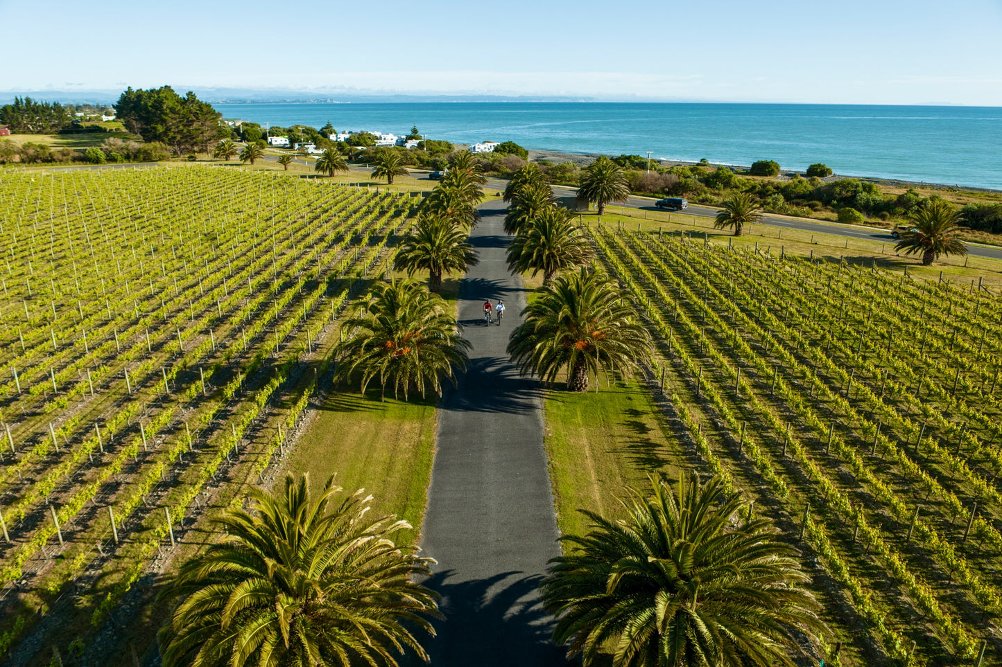 Wine and Food Tour - Non-Refundable Deposit - MVP Journeys ®