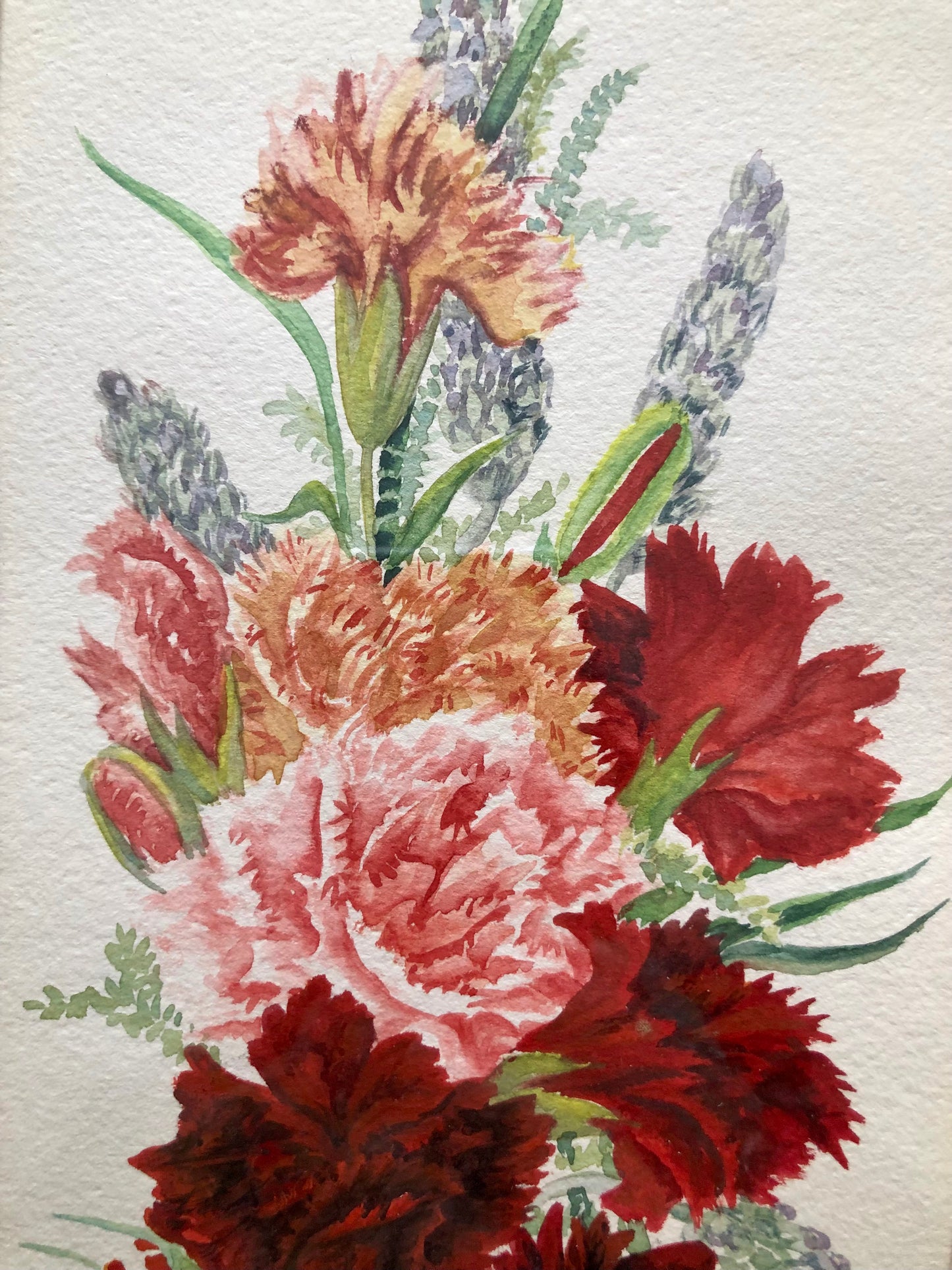 Carnations