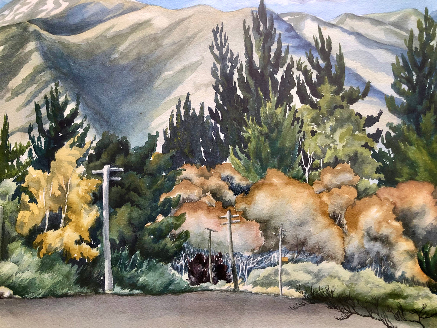 Lampposted Landscape