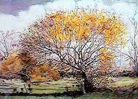 Late Autumn