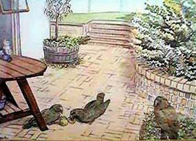 Patio Intrusion