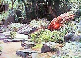 Rock Garden