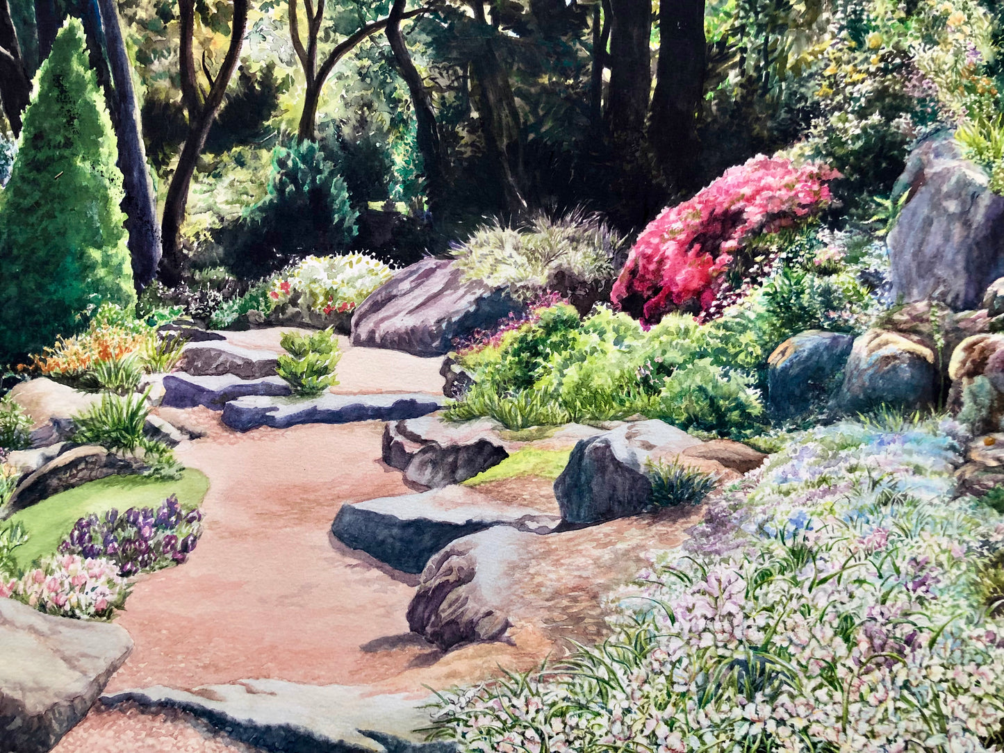 Rock Garden