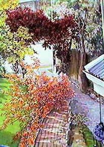 Scene from Lee's Window