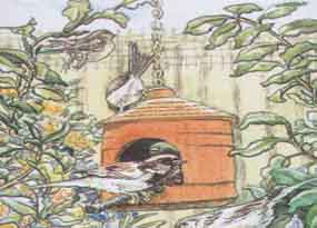 Sparrows